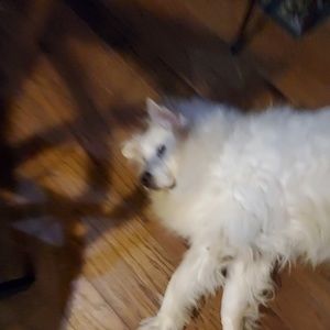 Meet your Posher, Walker